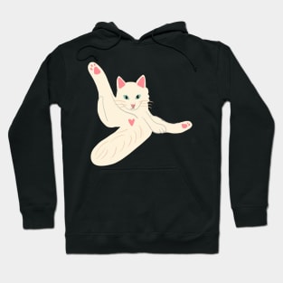 Yoga Cat Hoodie